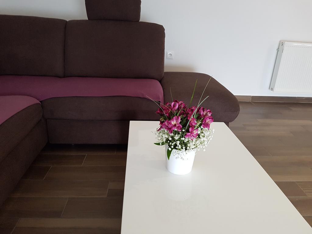 Apartments Tereza Senj  Dış mekan fotoğraf